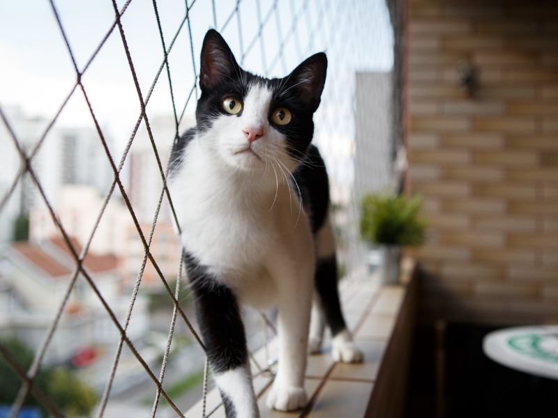 Redes de proteção para playgrounds em Blumenau