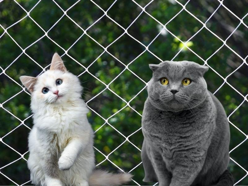 Telas de proteção pra Janela em Blumenau