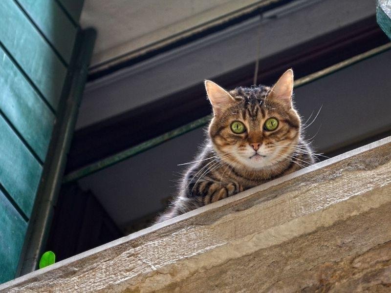 Instalação de rede de proteção em Blumenau