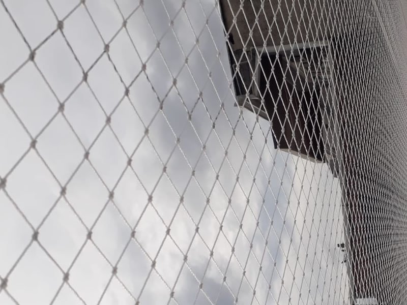 Proteja animais com rede protetora em Blumenau