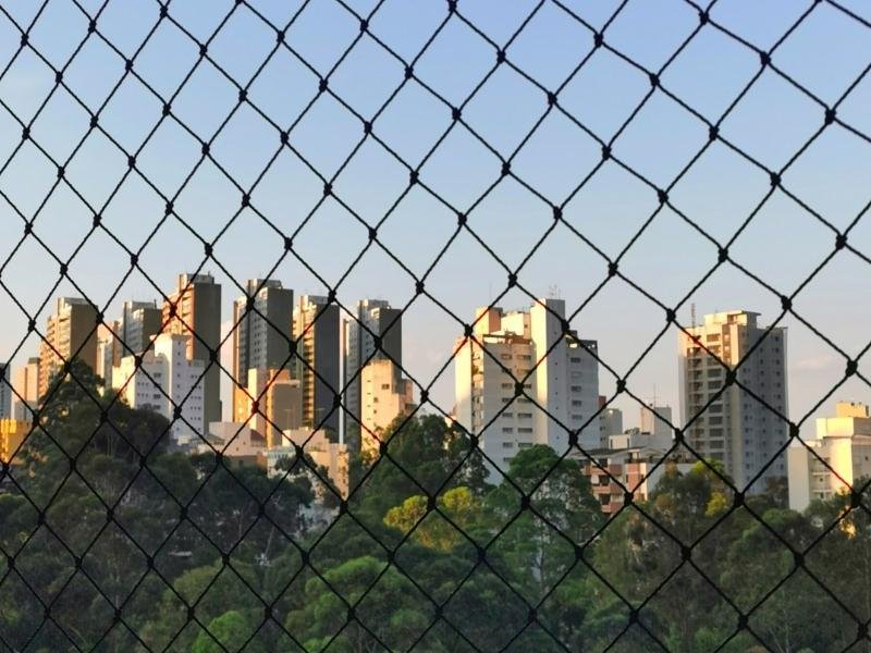 Proteja animais com rede protetora em Blumenau