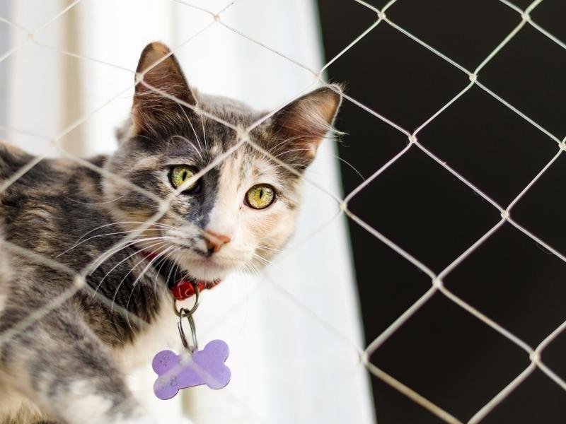 Proteja sua família com rede protetora em Blumenau